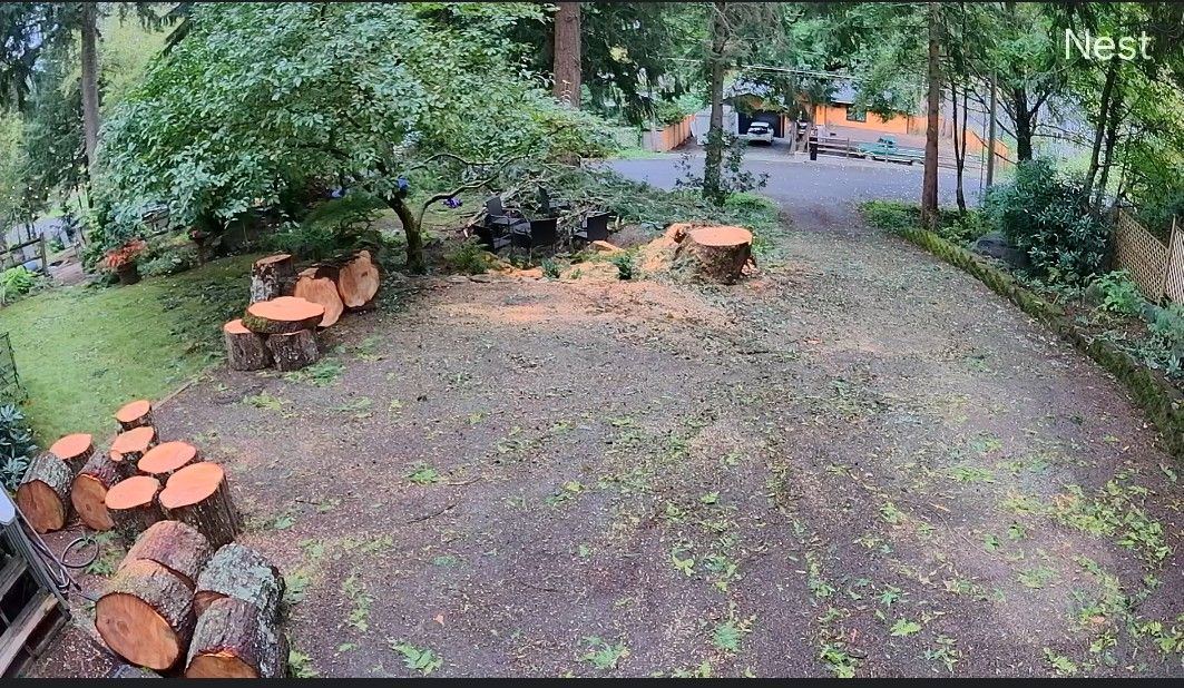 Fire Wood Lots Of Rounds For Free