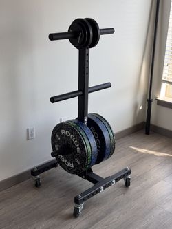 160LB Rogue Fleck Plate Set