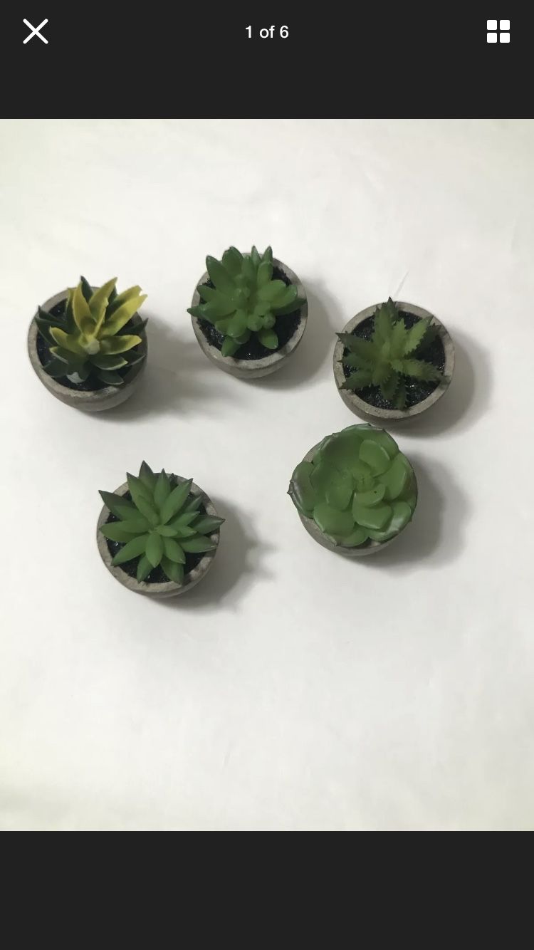 Artificial Succulent Plants Fake Artificial Bonsai with Pots Decorative Ball X5