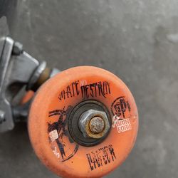 Customized Skateboard 