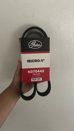 Gates Serpentine / Belt