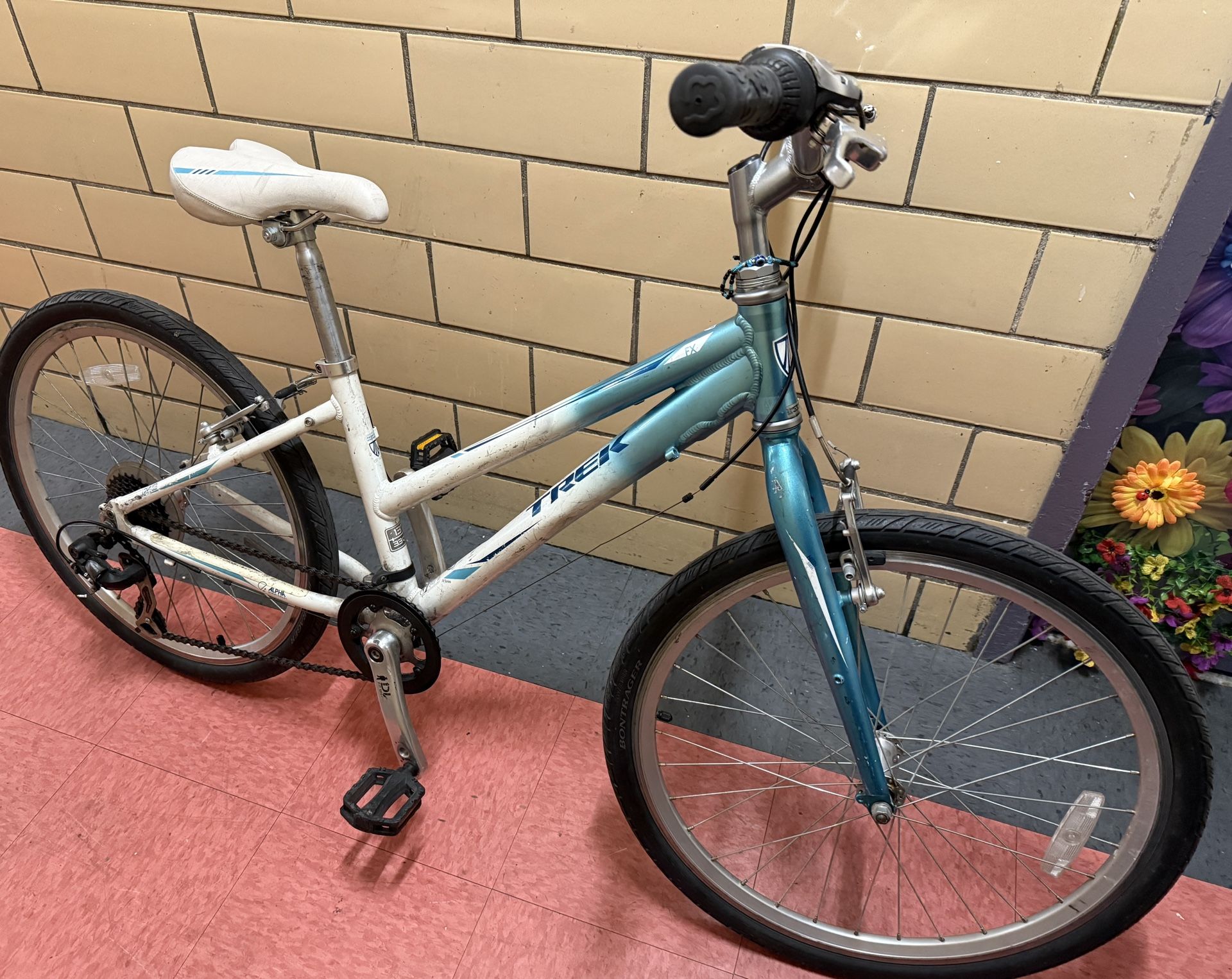Trek Universal Bike