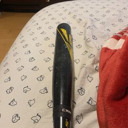 Easton Skinny Barel Bat