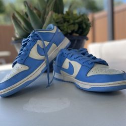 Nike Dunk Low Retro Blue