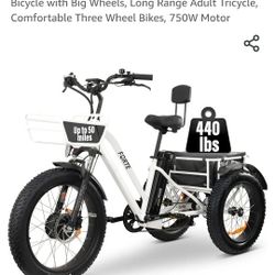 3 Wheel Electric Bike