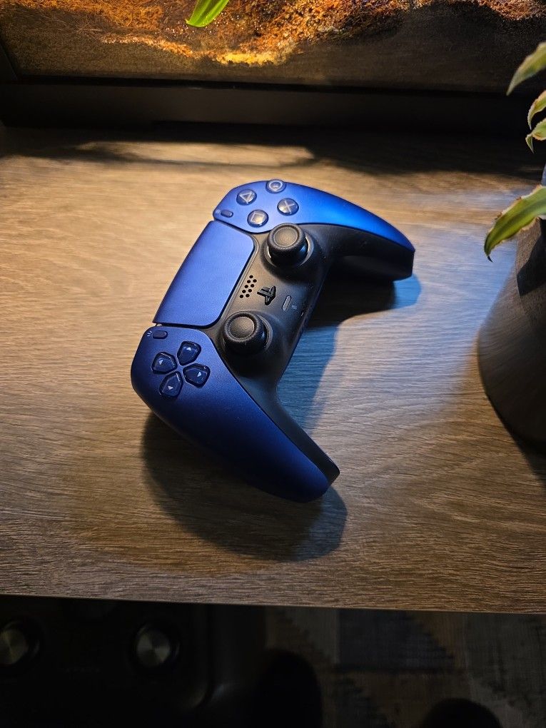 Ps5 Controller