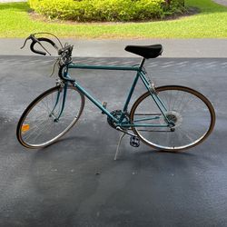 Panasonic Sport Bicycle 