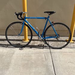 Vintage Cannondale Road Bike / 10 Speed 
