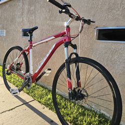 Access 29 Inch Gear Bicycle $250