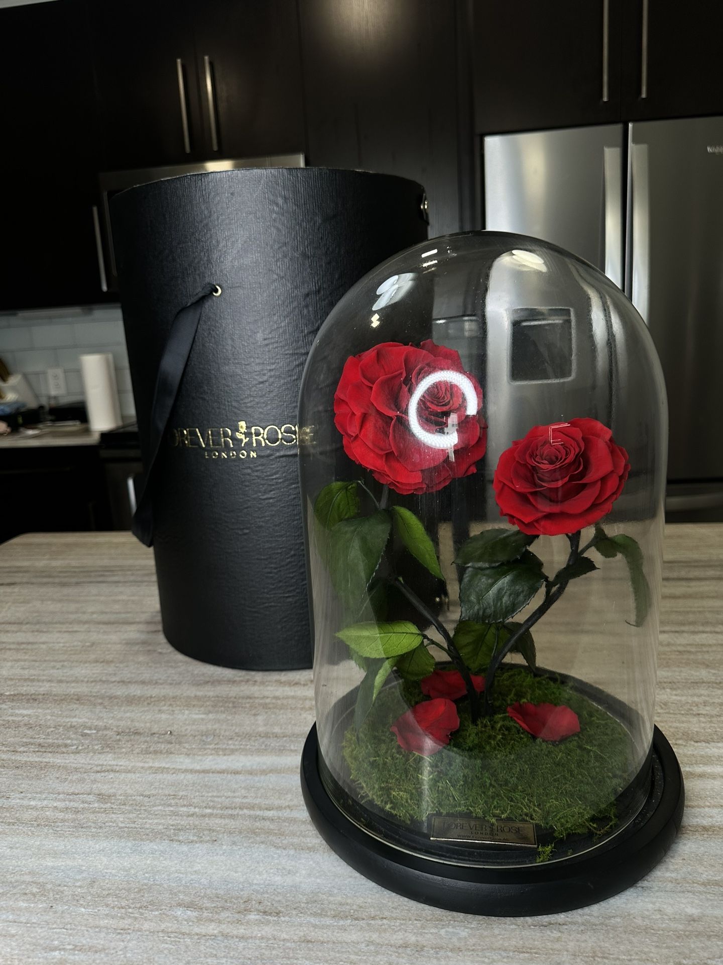 Forever Roses From Dubai