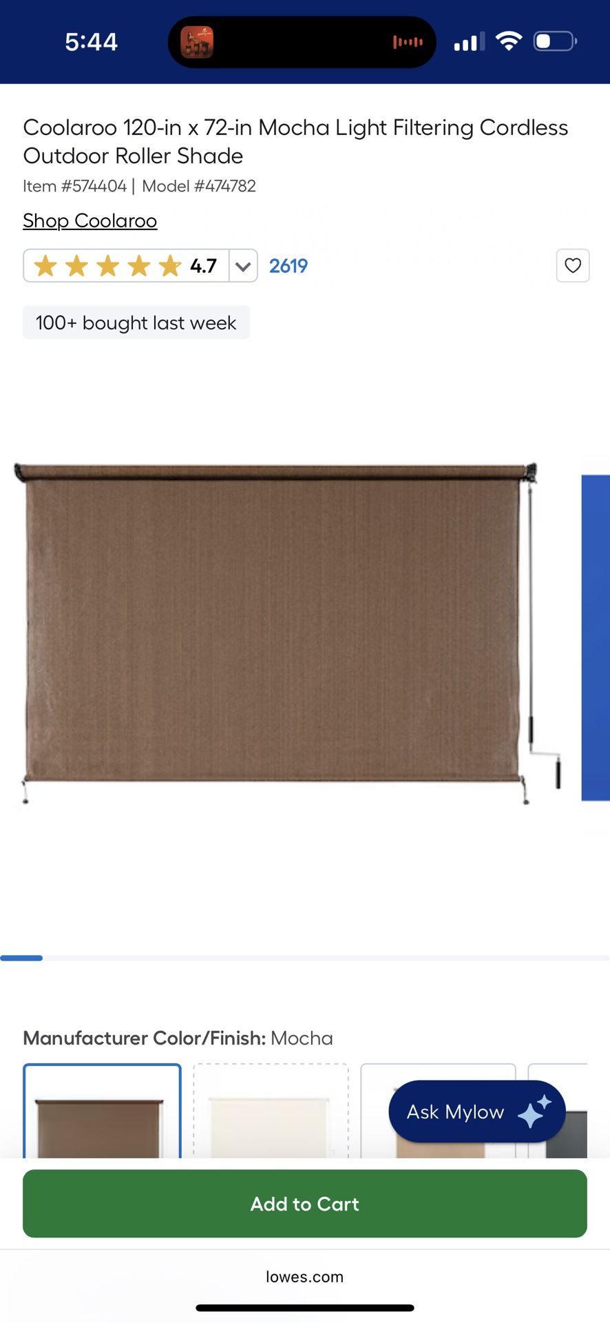 Coolaroo Outdoor Roller Shade