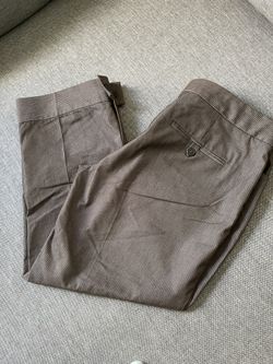 Express Capri Pants Design Studio Studio 