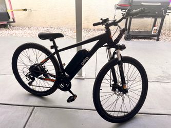 Qlife Electric Bike for Adults
