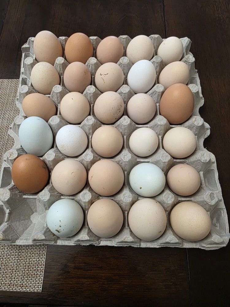 Fresh Farm Eggs