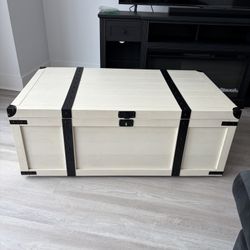 Storage Trunk