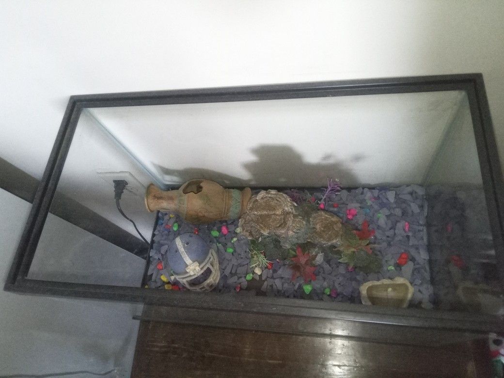 20 Gallon Fishtank