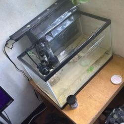 10g Saltwater  With Supplies 