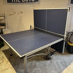 Ping Pong Table
