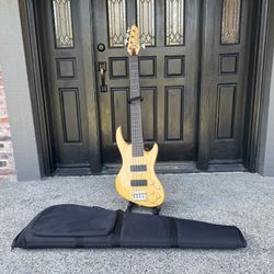 DEARMOND PILOT PRO V  And Soft Case Guitar 