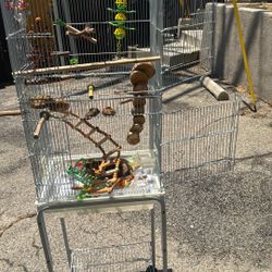 Bird Cage 