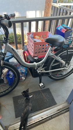 E bike broke