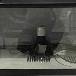 lizard cage