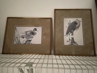 Beautiful Water Fowl Drawings