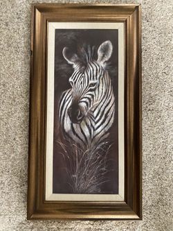 Zebra Picture