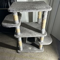 Cat Tree 