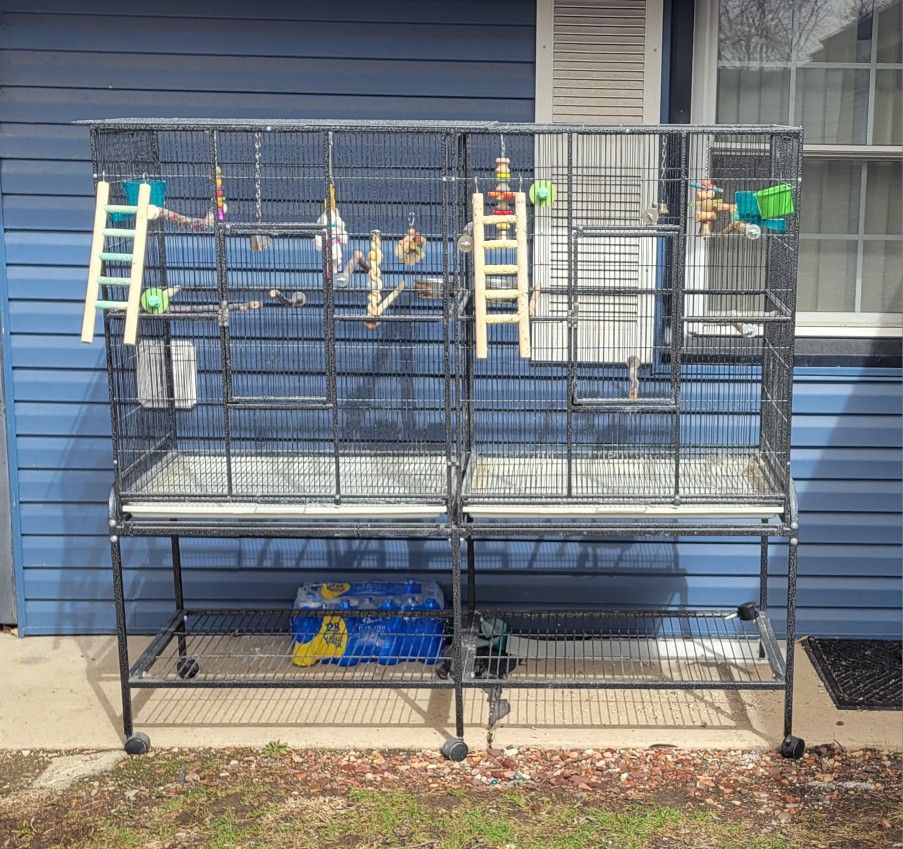Bird Cage