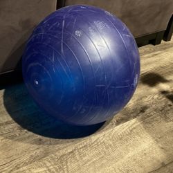 Exercise Ball