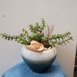 Cowboy Elefant Succulent Planter