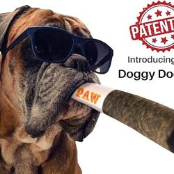 Funny Interactive Dog Toys - Cigar Design Plush Squeaky Pet Toys Grinding Teeth Creative Chew Toy For Small Medium Dog