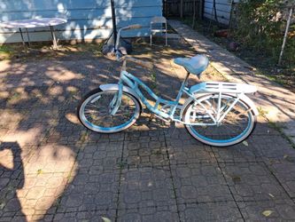 Schwinn cruiser
