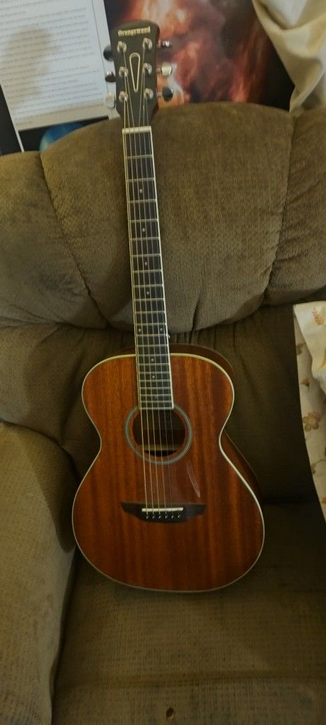 Acoustic Guitar 