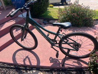 Giant XTC Jr Mountain Bike