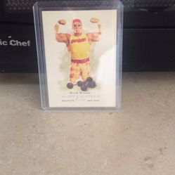 06 Hulk Hogan