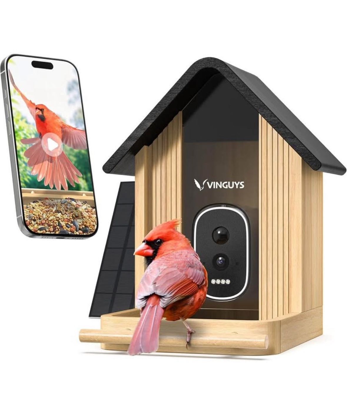 Smart Bird Feeder with Camera