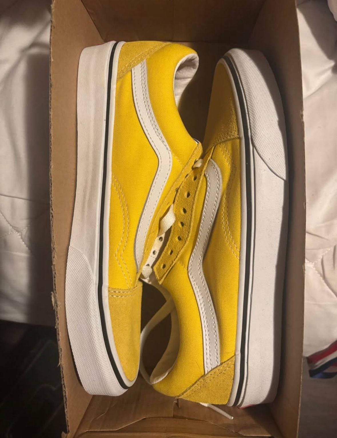 Brand New Vans
