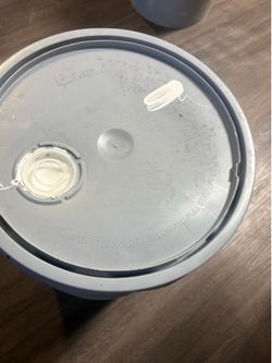 White interior paint