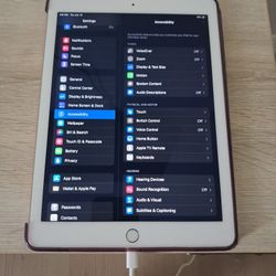 Apple IPad With Case And Charger 