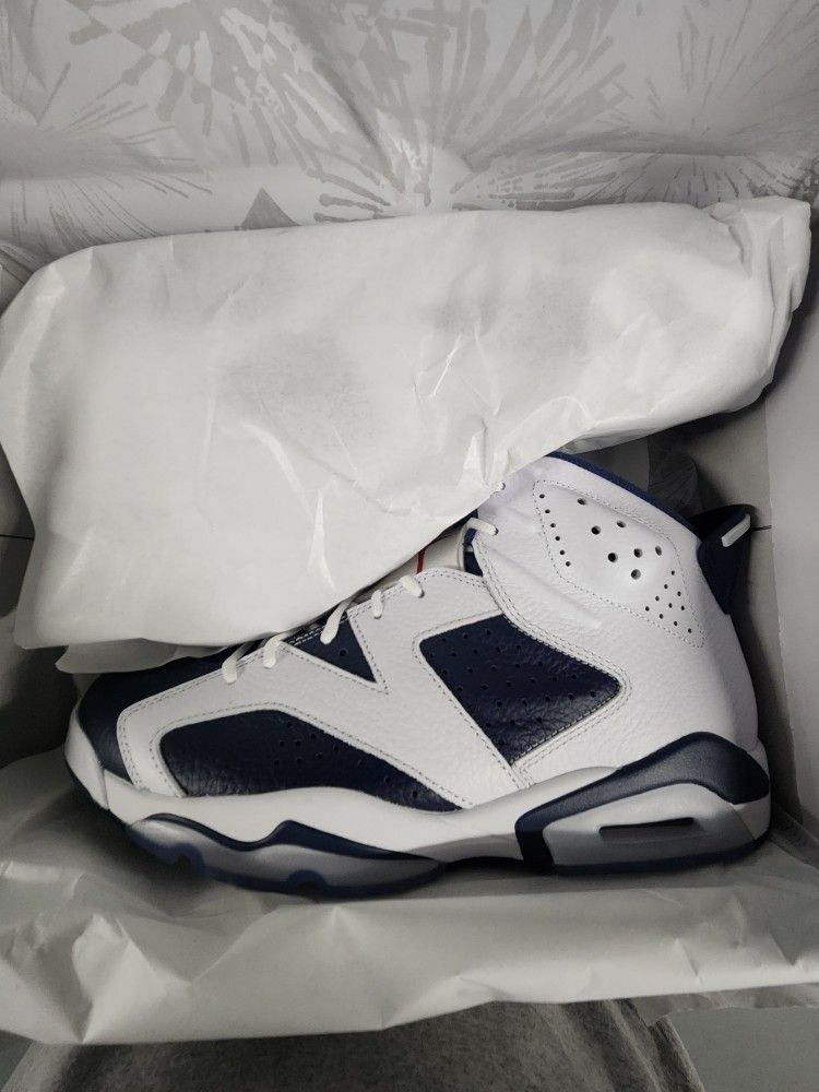 Air Jordan Retro 6 (USA)