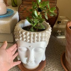 Large Buddha Head (no Plant)
