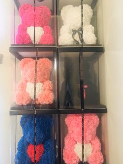 Rose Teddys
