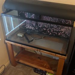 40 Gallon Aquarium + Filter + Light