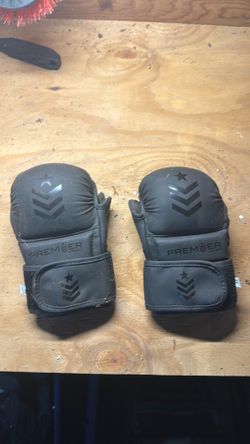 Premier boxing gloves