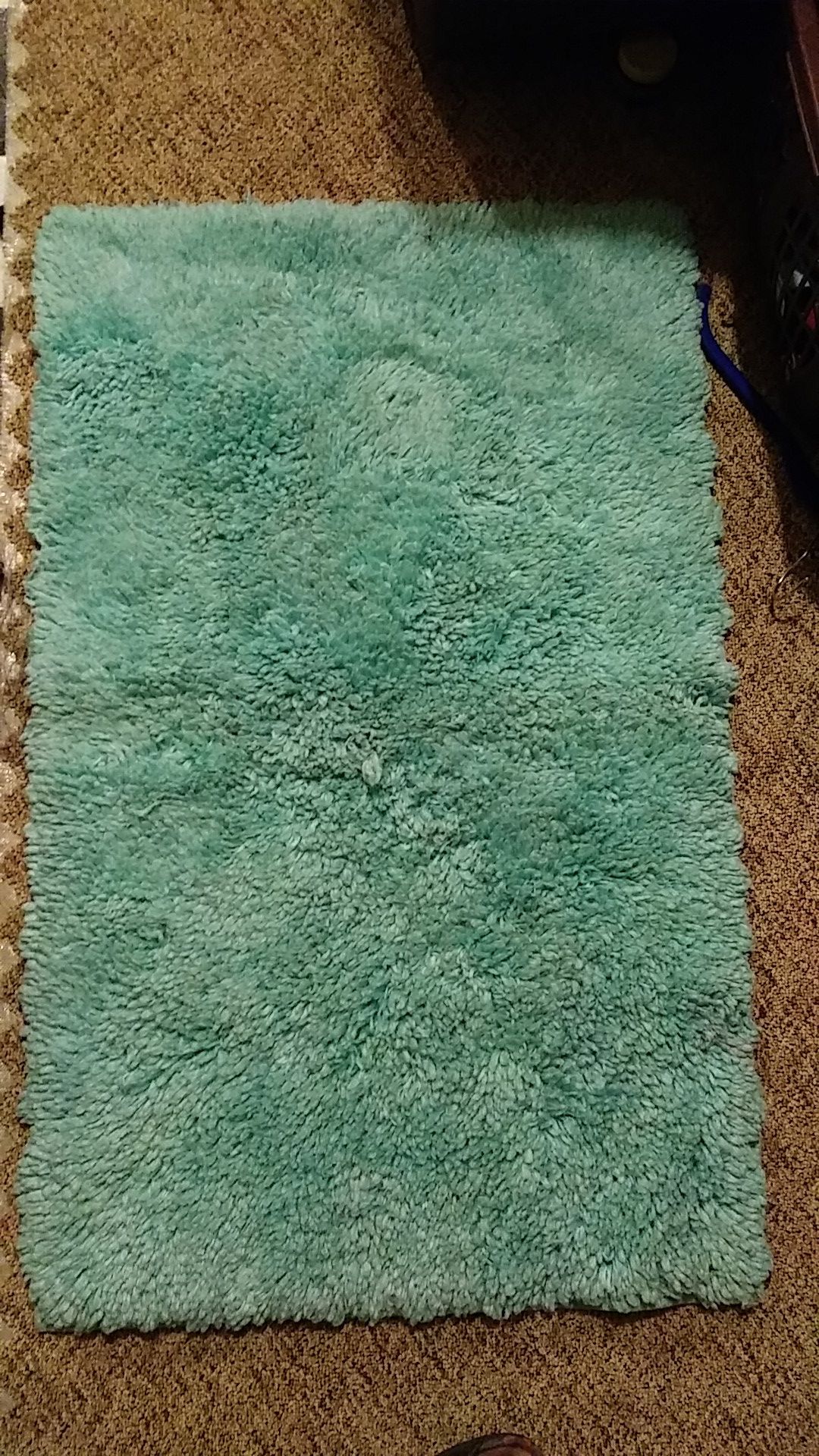 Blueist Green Bathroom Rug