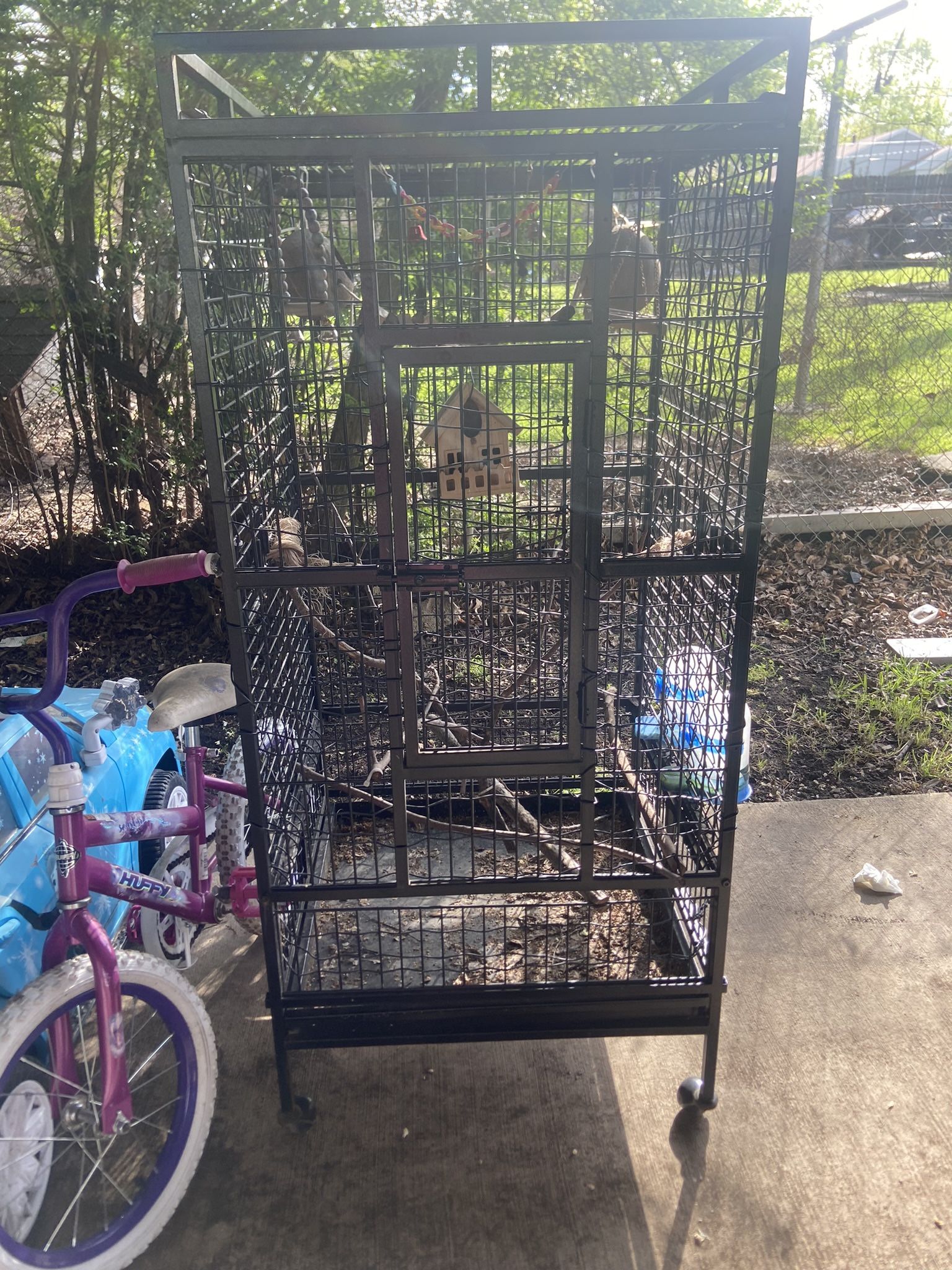 Parrot Cage