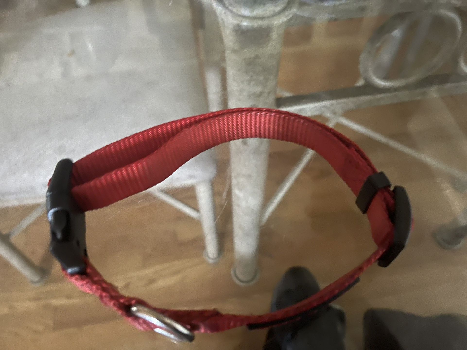 DOG’S COLLAR $12 Or MAKE AN OFFER