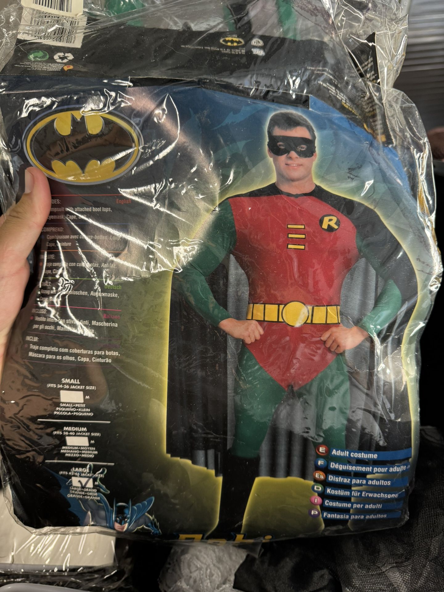 Robin Halloween costume